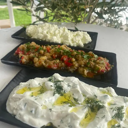 אתר קמפינג Aigeas Nea Kallikrateia