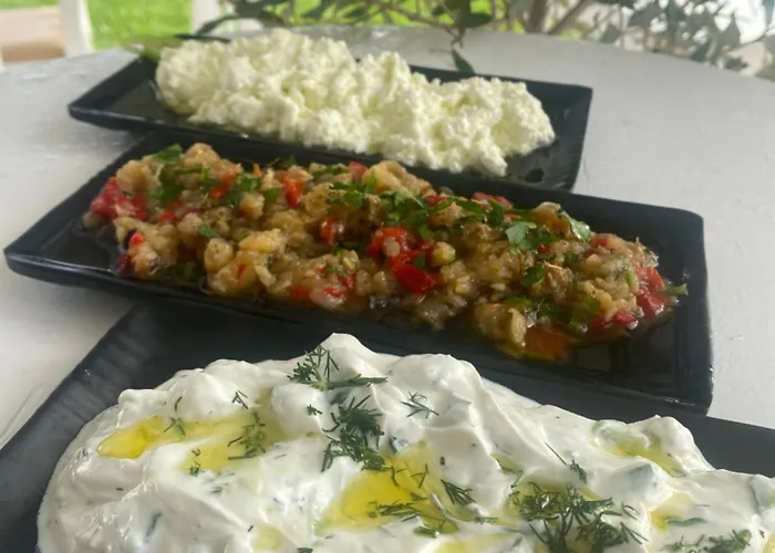 Camping Aigeas Nea Kallikrateia